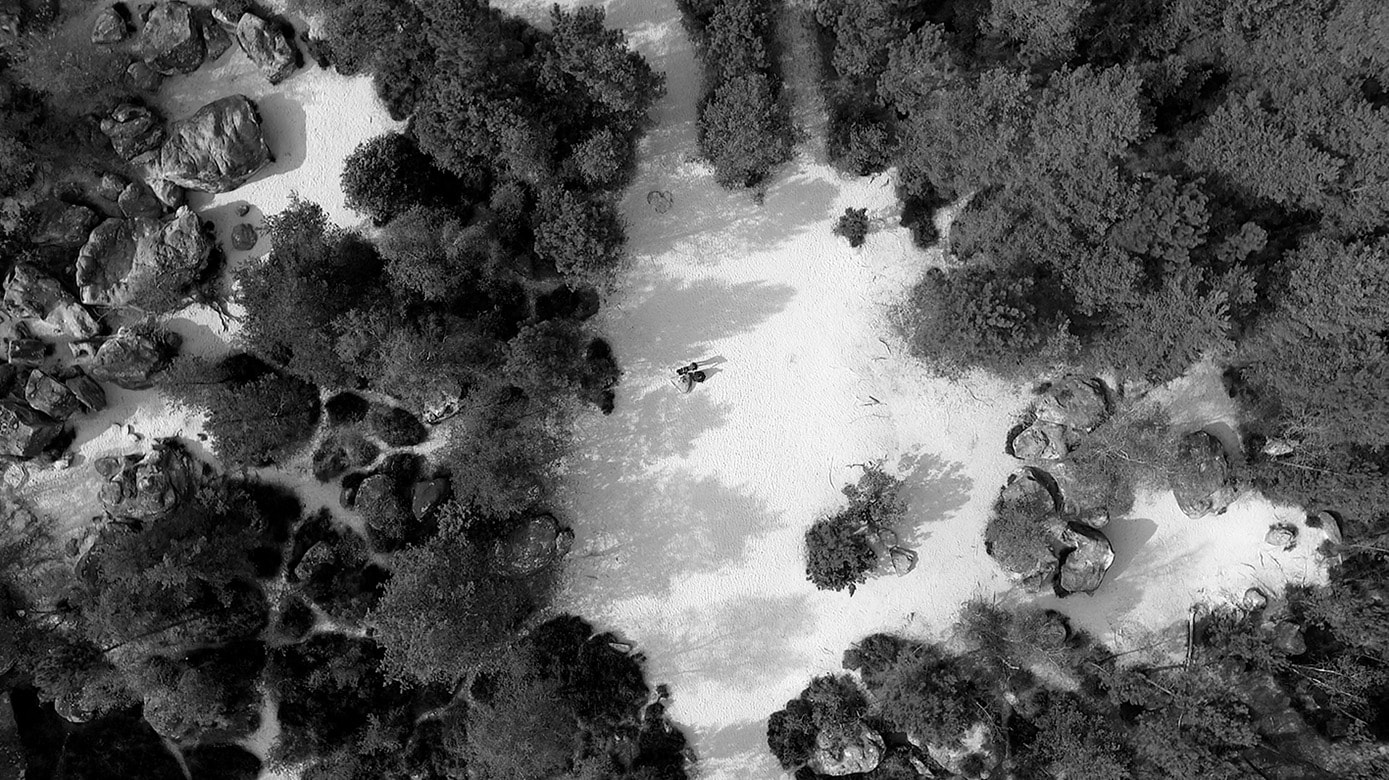 thehairtist,coiffeurbarbier, coiffeur77, videocoiffeur, videofontainebleau, dronefontainebleau, drone77, videodrone,