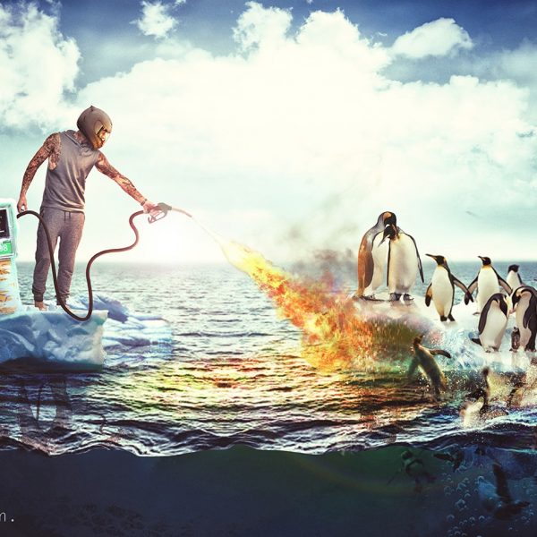 photoshop, montagephoto, graphisme, total, pingouin, pingouinbrule, retouchephoto, antartique, rechauffementclimatique, ecologie, climat, consomation, montageps,