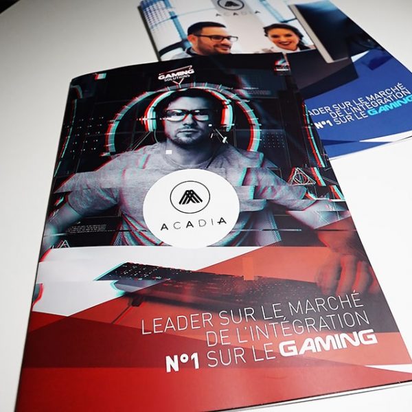 acadia, informatique, grossisteinformatique, miseenpage, PAO, plaquettecommerciale, infographie, gamingplaquette,