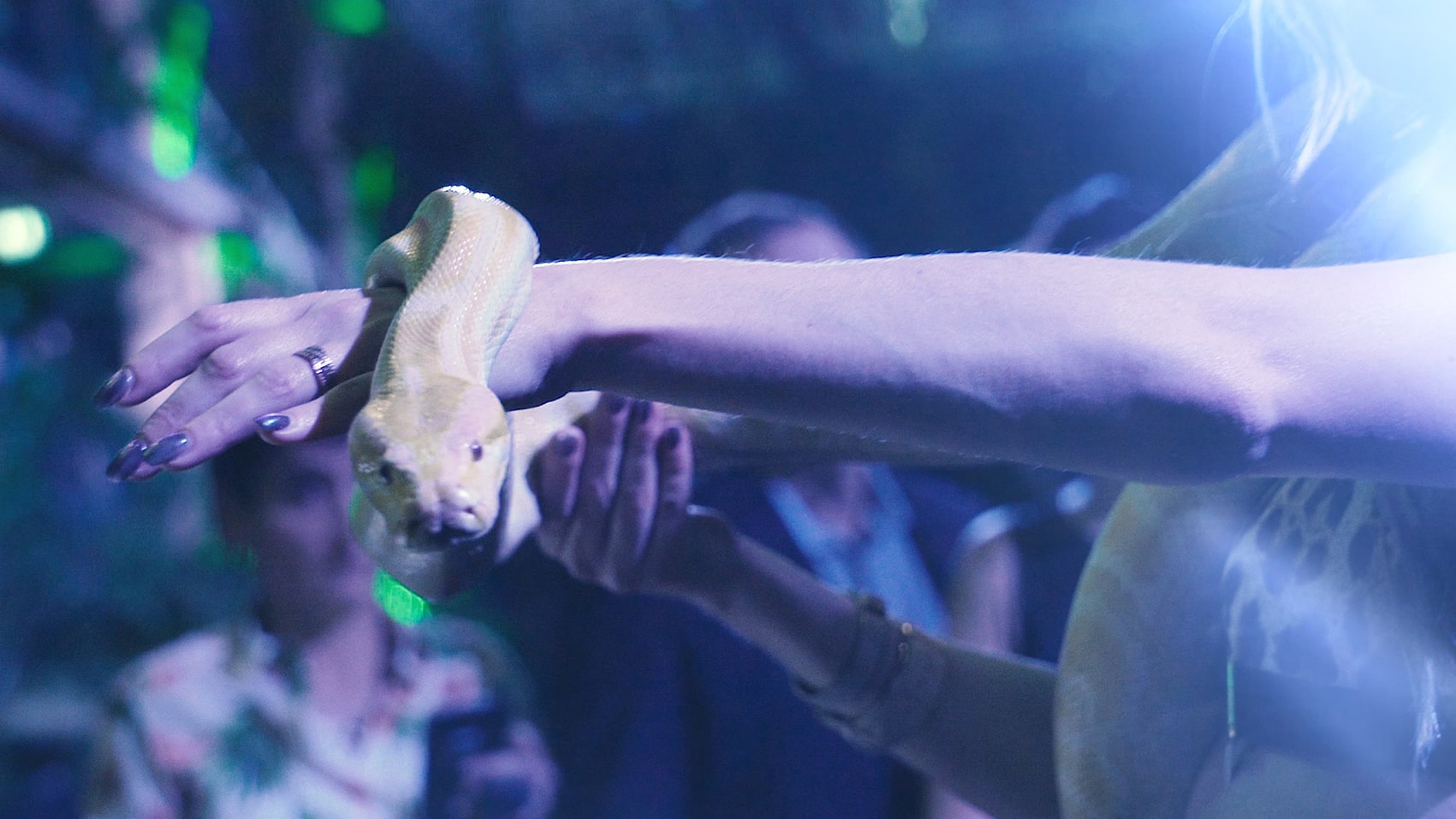 BCG, bostonconsultinggroup, evenemententreprise, soireeentreprise, videosoireeentreprise, videomolitor, videosoireejungle, jungleevenement, BCGevenementvideo, bostonconsultinggroupevideo, parisevenementvideo, cubriks, theodeffaux,