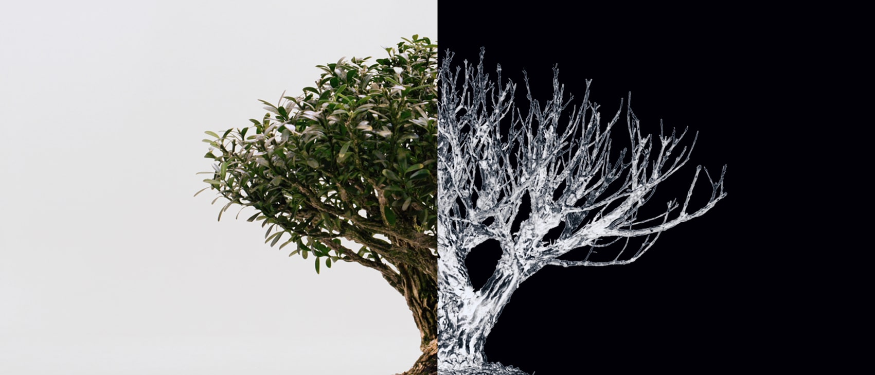 aome, lebienlemal, clipaome, soeuraome, clipcubriks, cliptheodeffaux, cubriks, clipnoiretblanc, blackandwhite,